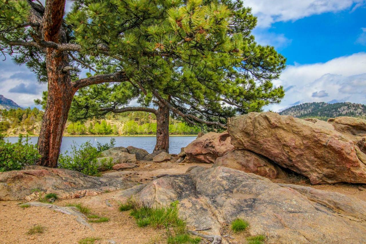 The Pine Cone - Permit #3255 Apartment Estes Park Luaran gambar